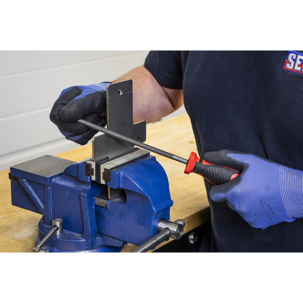 Sealey TBT09 ⏐ Premier Engineer's File Set with Tool Tray 5pc