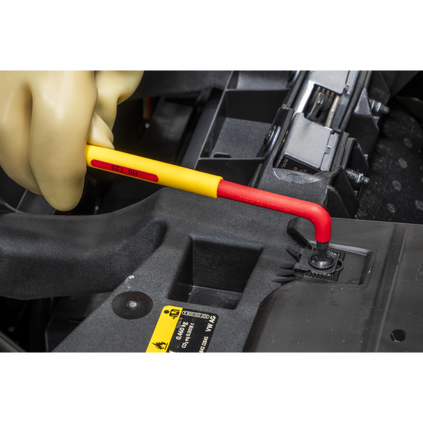 Sealey TBTE06 ⏐ Premier Insulated TRX-Star* Key with Tool Tray 9pc - VDE Approved