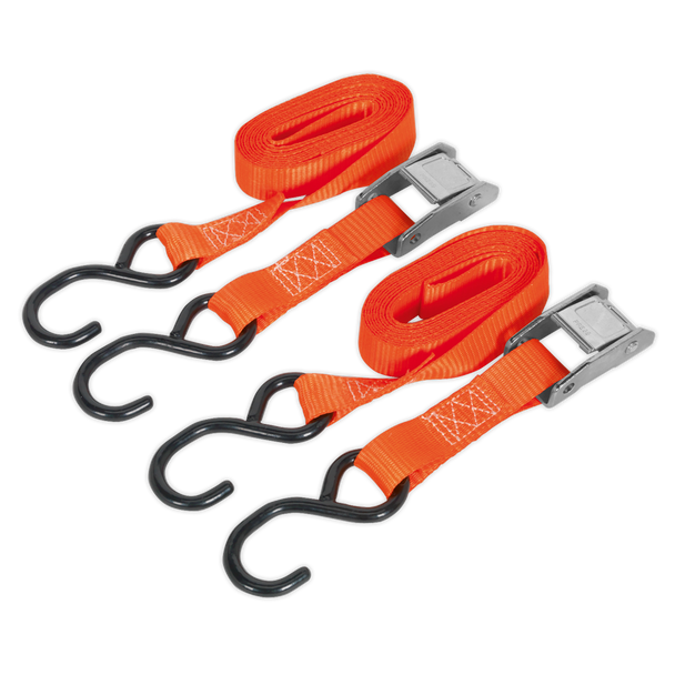 Sealey TD2525CS ⏐ Cam Buckle Strap Polyester Webbing with S-Hooks 25mm x 2.5m 250kg Breaking Strength