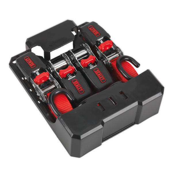 Sealey TD484SD ⏐ Ratchet Strap Polyester Webbing with S-Hooks 25mm x 4m 800kg Breaking Strength - 2 Pairs