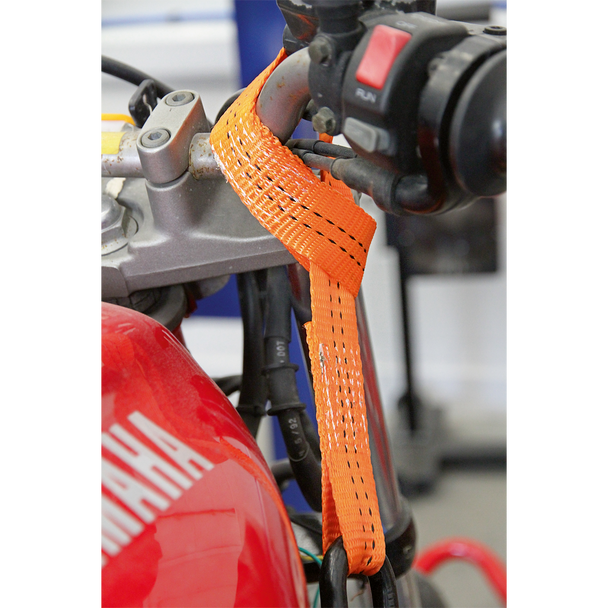 Sealey TDL01 ⏐ Tie Down Securing Loop - Pair