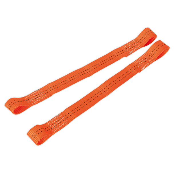 Sealey TDL01 ⏐ Tie Down Securing Loop - Pair