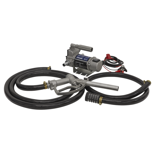 Sealey TP9624 ⏐ Portable Diesel/Fluid Transfer Pump 24V