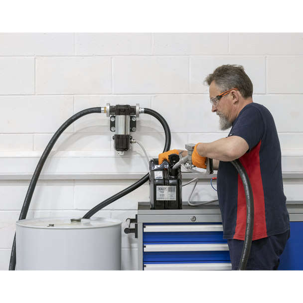 Sealey TP98 ⏐ High Volume Diesel & Fluid Transfer Pump 12V