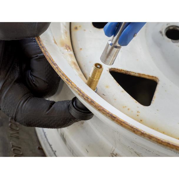 Sealey TVHP1 ⏐ Snap-in Tubeless High Pressure Tyre Valve TR600 - Pack of 50