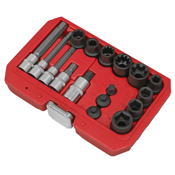Sealey VS0465 ⏐ Brake Caliper Socket Set 11pc