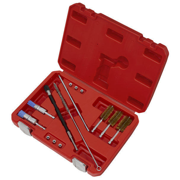 Sealey VS1900 ⏐ Injector Bore Cleaning Brush Set 14pc
