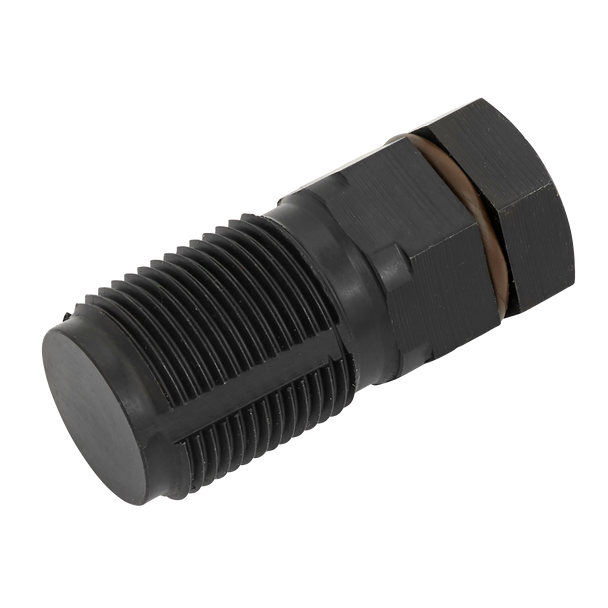 Sealey VS536 ⏐ Nitrogen Oxide Sensor Port Thread Chaser M22 x 1.5mm