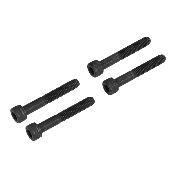 Sealey VSE3036 ⏐ Fuel Pump Locking/Removal Tool for JLR 2.0D Ingenium Engine