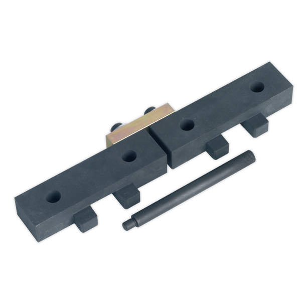 Sealey VSE4425 ⏐ Petrol Engine Timing Tool Kit for BMW M42/M50/M52/M52TU/M54/M56 - Chain Drive