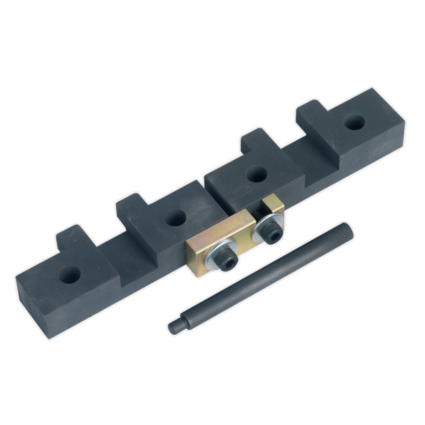 Sealey VSE4425 ⏐ Petrol Engine Timing Tool Kit for BMW M42/M50/M52/M52TU/M54/M56 - Chain Drive