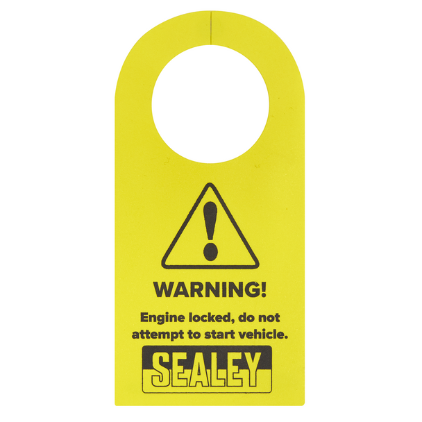 Sealey VSE5152 ⏐ Timing Tool Kit for Ford 1.0 EcoBoost - Chain Drive