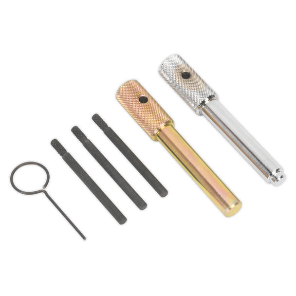 Sealey VSE5842 ⏐ Diesel Engine Timing Tool Kit - for Ford, Fiat, JLR, LDV, PSA 2.0D/2.2D/2.4D/3.2D - Chain Drive