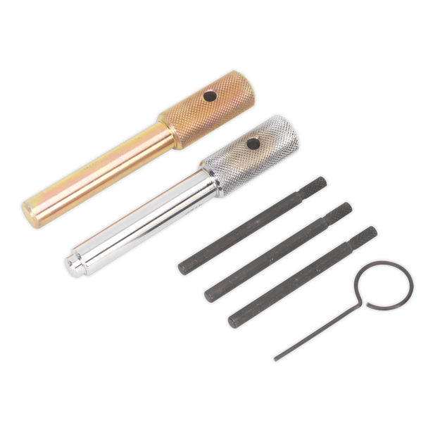 Sealey VSE5842 ⏐ Diesel Engine Timing Tool Kit - for Ford, Fiat, JLR, LDV, PSA 2.0D/2.2D/2.4D/3.2D - Chain Drive