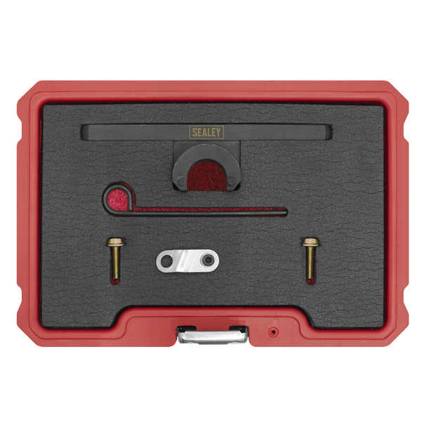 Sealey VSE6198 ⏐ Oil Pump & Balance Shaft Alignment Kit - for BMW 2.0 N20/N26 - Chain Drive