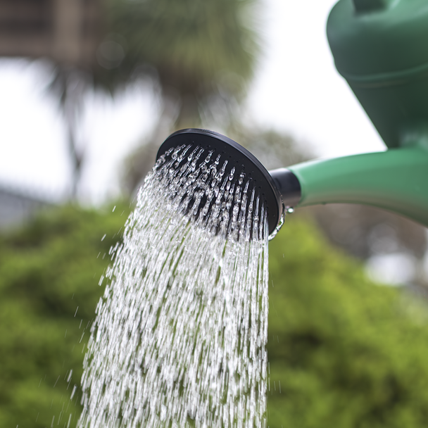 Sealey WCP10 ⏐ Plastic Watering Can 10L