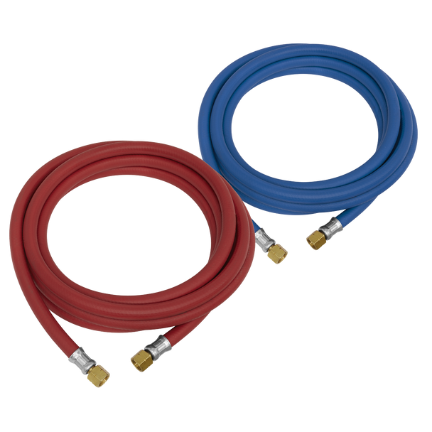 Sealey WH10 ⏐ Oxyacetylene Welding Hose Set 10m